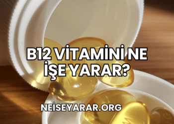 B12 Vitamini Ne İşe Yarar?