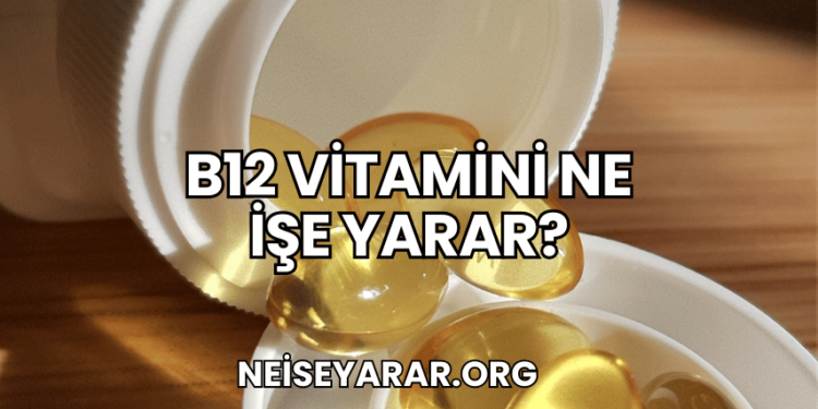 B12 Vitamini Ne İşe Yarar?