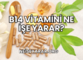 B14 Vitamini Ne İşe Yarar?