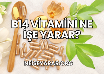 B14 Vitamini Ne İşe Yarar?
