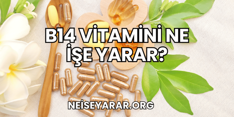B14 Vitamini Ne İşe Yarar?