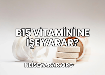 B15 Vitamini Ne İşe Yarar?
