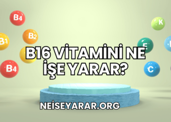 B16 Vitamini Ne İşe Yarar?