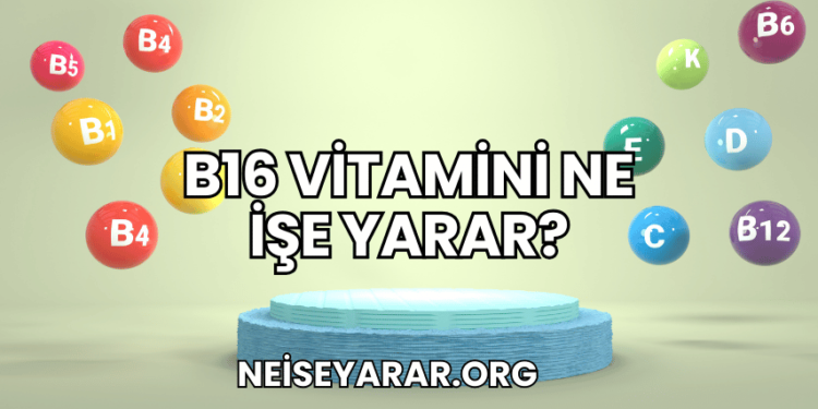 B16 Vitamini Ne İşe Yarar?