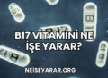 B17 Vitamini Ne İşe Yarar?