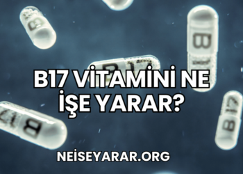 B17 Vitamini Ne İşe Yarar?