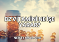 B2 Vitamini Ne İşe Yarar?