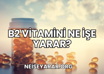 B2 Vitamini Ne İşe Yarar?