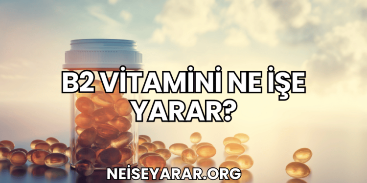 B2 Vitamini Ne İşe Yarar?