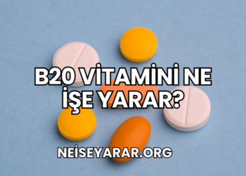 B20 Vitamini Ne İşe Yarar?