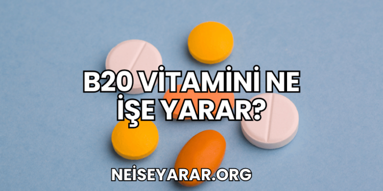 B20 Vitamini Ne İşe Yarar?
