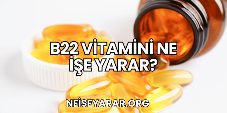 B22 Vitamini Ne İşe Yarar?