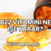 B22 Vitamini Ne İşe Yarar?