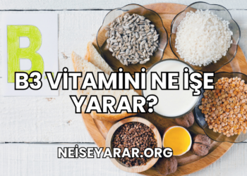 B3 Vitamini Ne İşe Yarar?