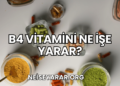 B4 Vitamini Ne İşe Yarar?