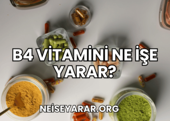 B4 Vitamini Ne İşe Yarar?