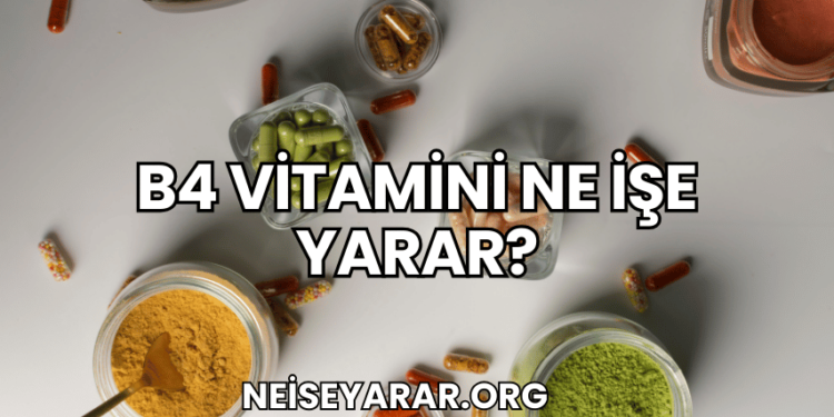 B4 Vitamini Ne İşe Yarar?