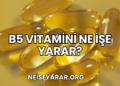 B5 Vitamini Ne İşe Yarar?