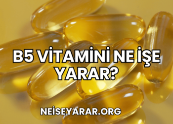 B5 Vitamini Ne İşe Yarar?