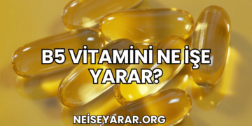 B5 Vitamini Ne İşe Yarar?