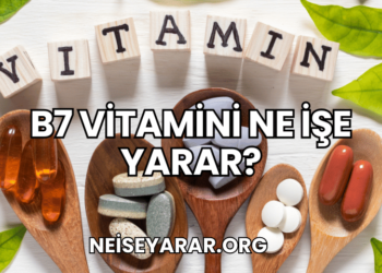 B7 Vitamini Ne İşe Yarar?