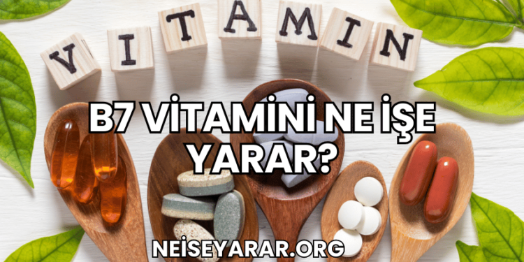 B7 Vitamini Ne İşe Yarar?