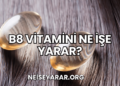 B8 Vitamini Ne İşe Yarar?