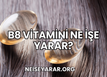 B8 Vitamini Ne İşe Yarar?