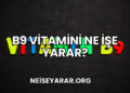 B9 Vitamini Ne İşe Yarar?