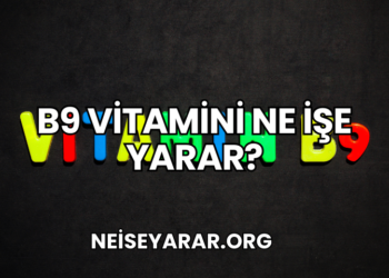 B9 Vitamini Ne İşe Yarar?