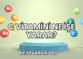 C Vitamini Ne İşe Yarar?