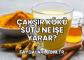 Çakşır Kökü Sütü Ne İşe Yarar?