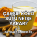 Çakşır Kökü Sütü Ne İşe Yarar?