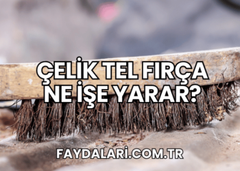 Çelik Tel Fırça Ne İşe Yarar?