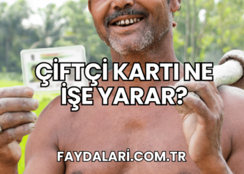 Çiftçi Kartı Ne İşe Yarar?
