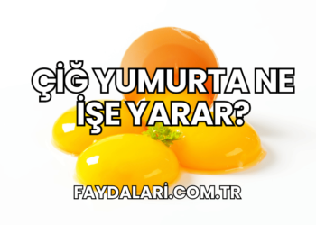 Çiğ Yumurta Ne İşe Yarar?