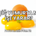 Çiğ Yumurta Ne İşe Yarar?