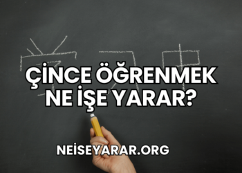 Çince Öğrenmek Ne İşe Yarar?