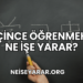 Çince Öğrenmek Ne İşe Yarar?