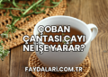 Çoban Çantası Çayı Ne İşe Yarar?