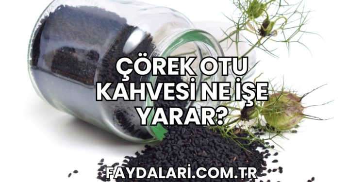 Çörek Otu Kahvesi Ne İşe Yarar?