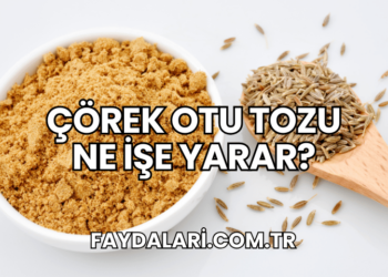 Çörek Otu Tozu Ne İşe Yarar?