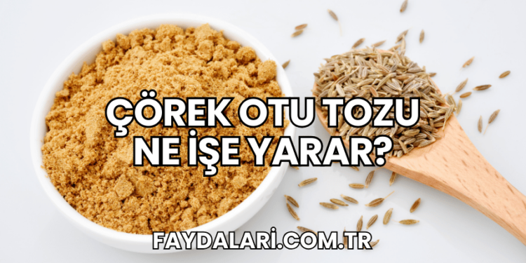 Çörek Otu Tozu Ne İşe Yarar?