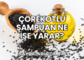 Çörekotlu Şampuan Ne İşe Yarar?