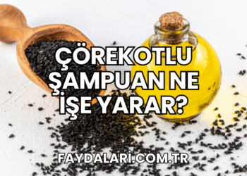 Çörekotlu Şampuan Ne İşe Yarar?
