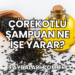 Çörekotlu Şampuan Ne İşe Yarar?