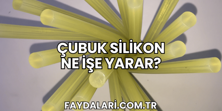 Çubuk Silikon Ne İşe Yarar?