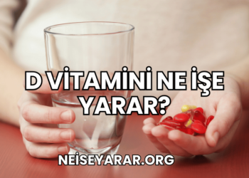 D Vitamini Ne İşe Yarar?