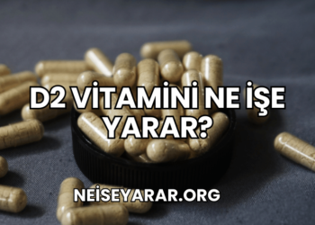 D2 Vitamini Ne İşe Yarar?