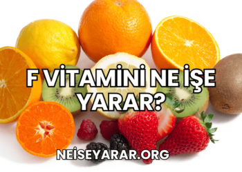 F Vitamini Ne İşe Yarar?